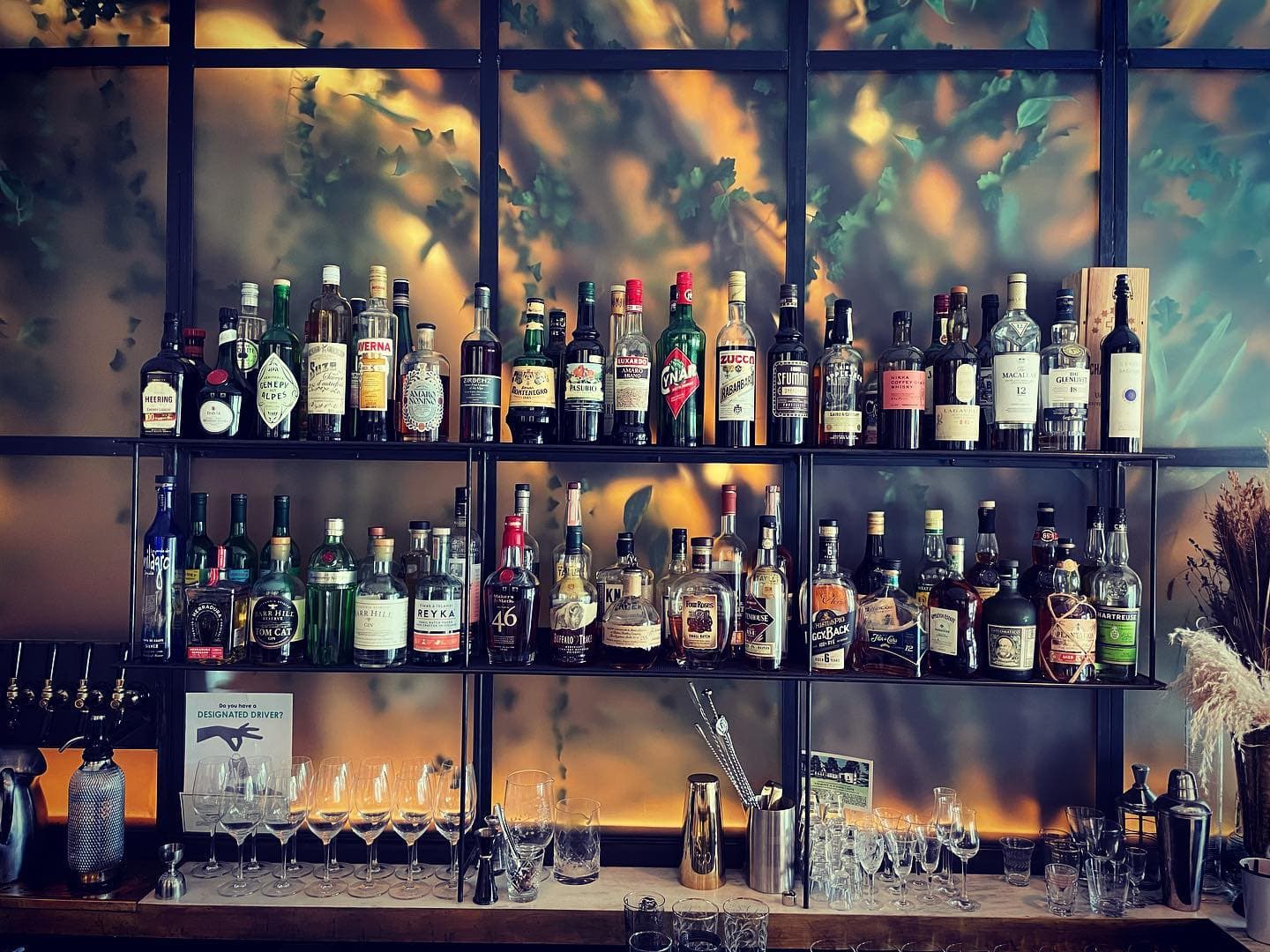 Wolf Tree in White River Junction, Vermont Bar Image