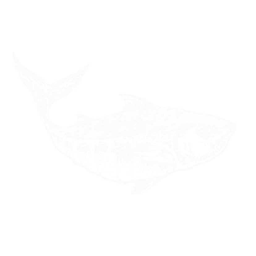 Kato logo